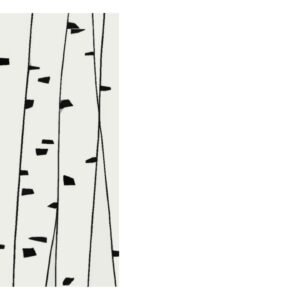 Monochrome Texture