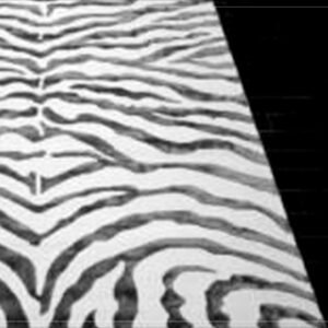 Modern Minimal monochrome rug detail